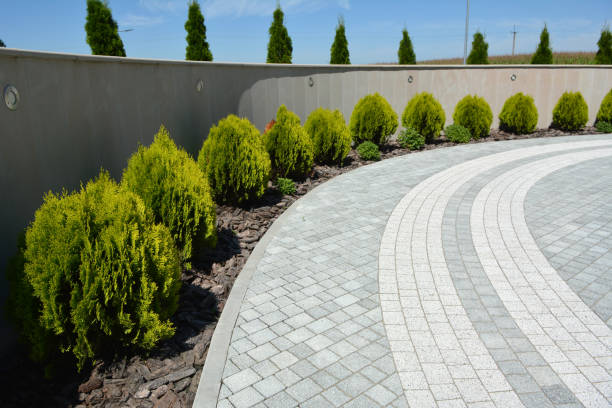 Best Cobblestone Driveway Pavers  in Greenwood, MS